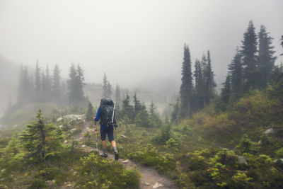 Rear view of backpacker hiking in the rain.