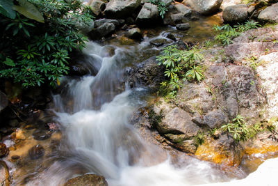 Stream flowing through rocks in forest
