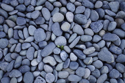 Full frame shot of pebbles