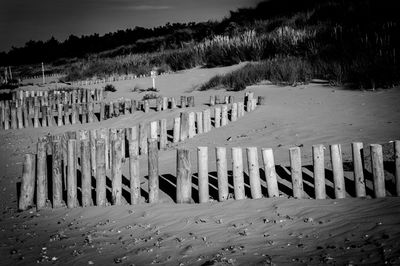 Wooden posts on sand