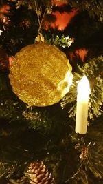 Close-up of mushrooms