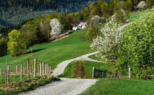 Beskids, spring, sunrise