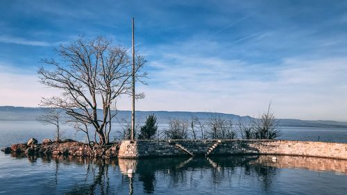 Bare tree by lake against sky