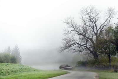 Bare trees in foggy weather against sky during winter