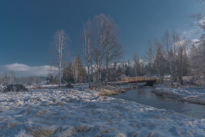 Scenic view of frozen trees against sky during winter