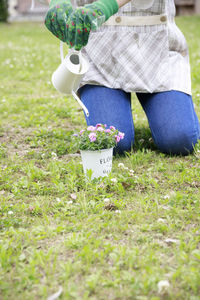 Low section of woman sitting on grassy field