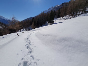 Snow covered field against sky