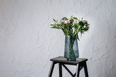 Close-up of potted plant on wall