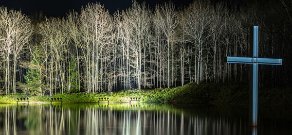 Scenic view of lake in forest