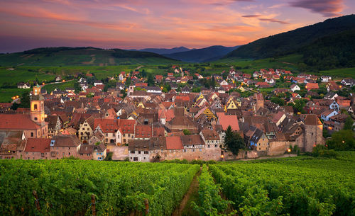 Scenic view of field by houses against sky during sunset