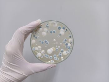 healthcare and medicine