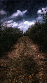 Scenic view of landscape against cloudy sky