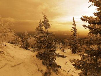 Scenic view of snow covered land during sunset