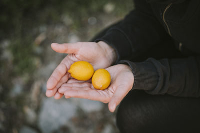 Close-up of person holding fruits