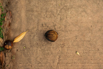 High angle view of bread on table