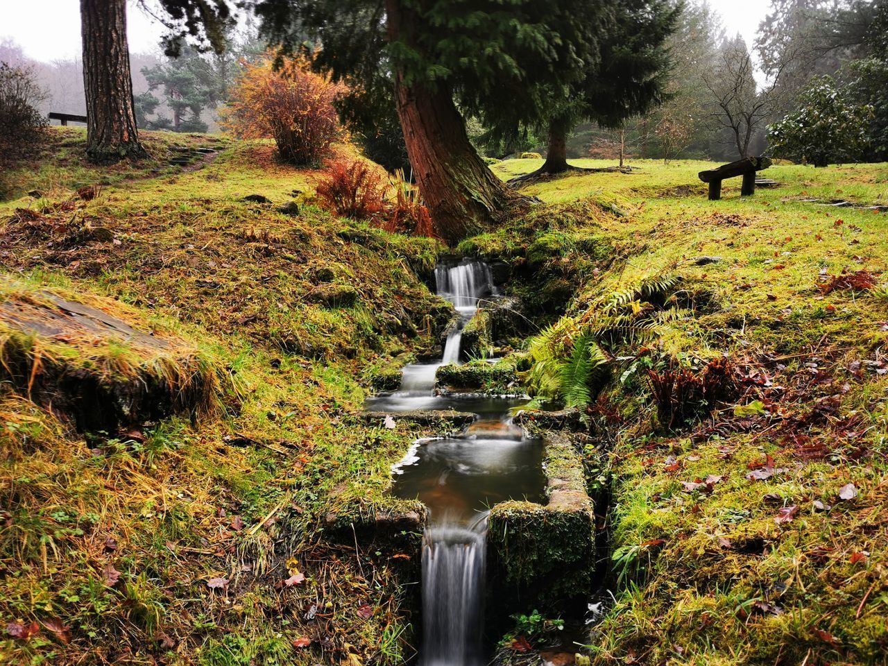 WATERFALL IN FOREST