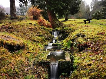 Scenic view of waterfall in park during autumn