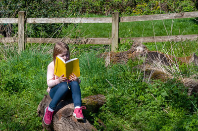 Little girl reading from yellow book while sitting on wooden tree trunk in nature.