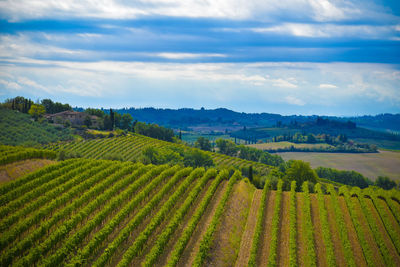 Scenic view of agricultural field against sky