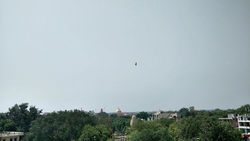 Birds flying over trees against sky