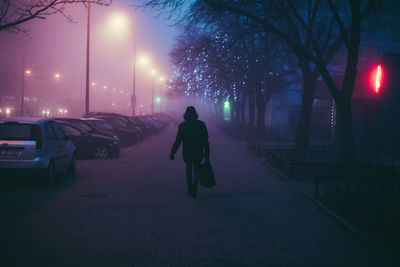 Rear view of person walking in city at night