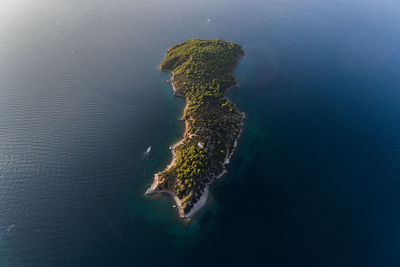 High angle view of leaf on sea shore