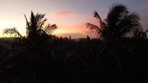 Silhouette palm trees against sky during sunset