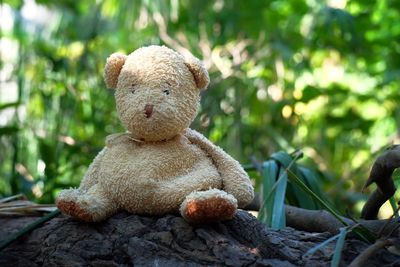 Close-up of stuffed toy outdoors