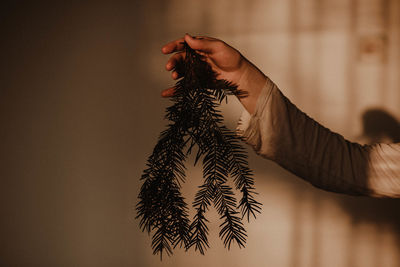 Close-up of hand holding plant at home