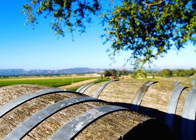 Close-up of agricultural landscape against clear blue sky