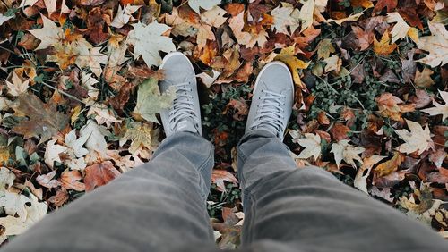 Low section of man standing on fallen leaves