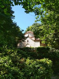 Low angle view of trees and building against sky