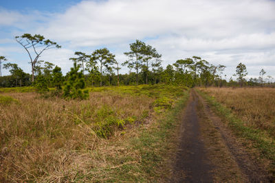 Dirt road amidst field against sky