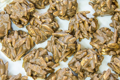 High angle view of shells