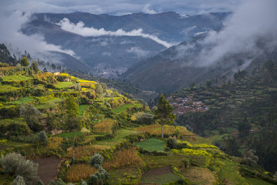 Agricultural terraces above tarma, junin, peru, south america