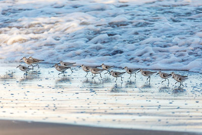 People walking on beach
