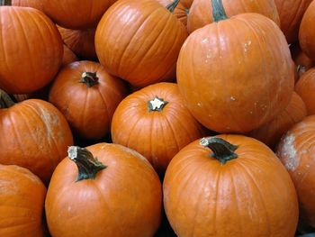 Full frame shot of pumpkins