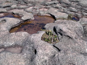 Full frame shot of rock