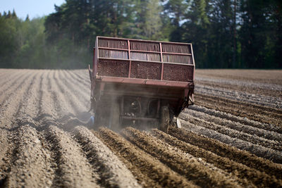 Scenic view of agricultural field