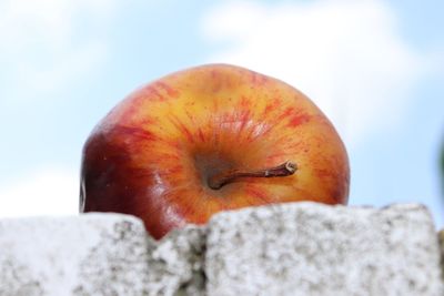 Close-up of orange slice on rock against sky