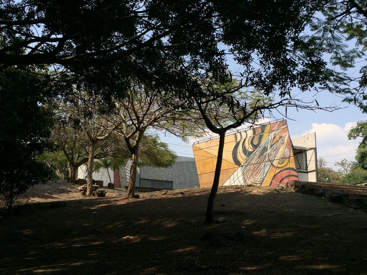 tree, architecture, built structure, building exterior, sunlight, day, sky, house, shadow, outdoors, low angle view, tree trunk, no people, flag, growth, graffiti, wall - building feature, patriotism, clear sky, nature