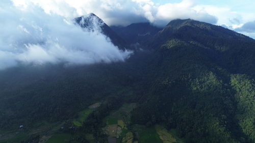 environment