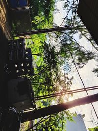 Low angle view of trees and buildings against sky