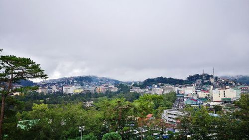 Trees in city against sky