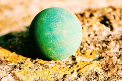 Close-up of eggs