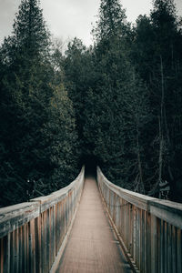 Footbridge amidst trees in forest