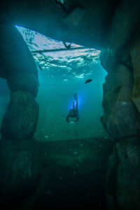 View of fishes swimming in sea