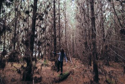 Full length of woman standing on tree trunk in forest