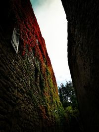 Low angle view of old building against sky