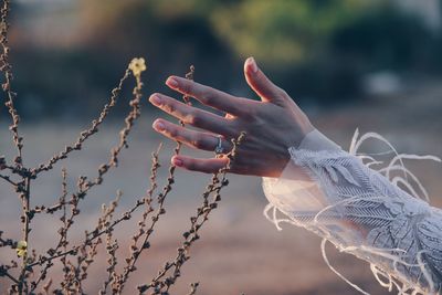 Close-up of hand against trees